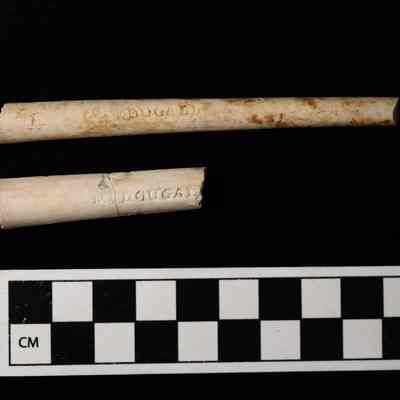 Pipe Stem Fragments
