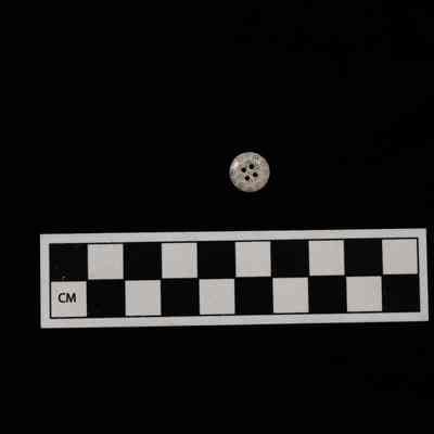 Calico 4-hole Prosser Button