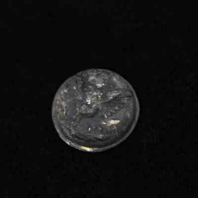 Cuprous Brass Police Button