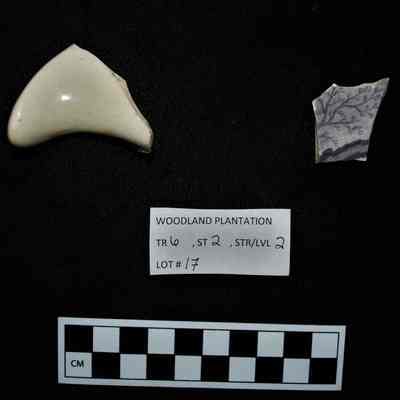 Ceramic Fragments