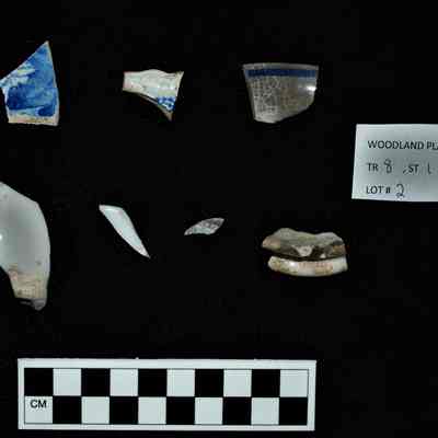 Ceramic Fragments