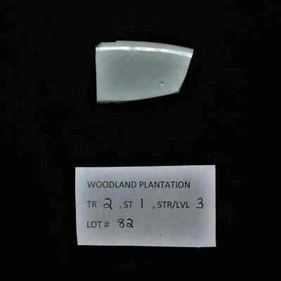 Ceramic Fragment