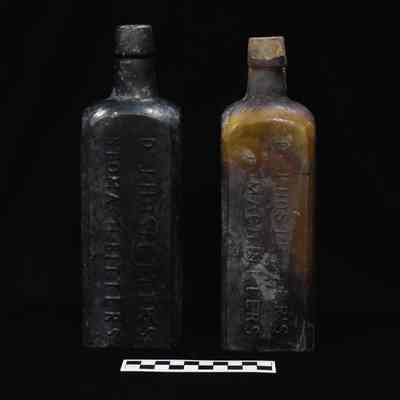 Dr. J Hostetter's Stomach Bitters