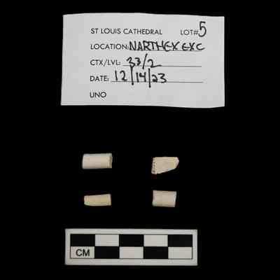 UNO Collections: St. Louis Cathedral