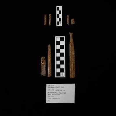 UNO Collections: Palmyra Street