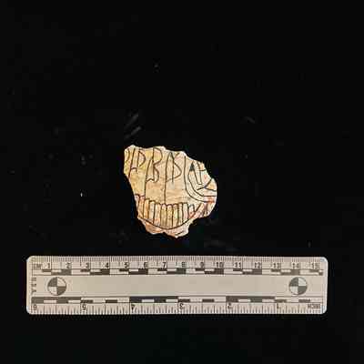 Carved Shell