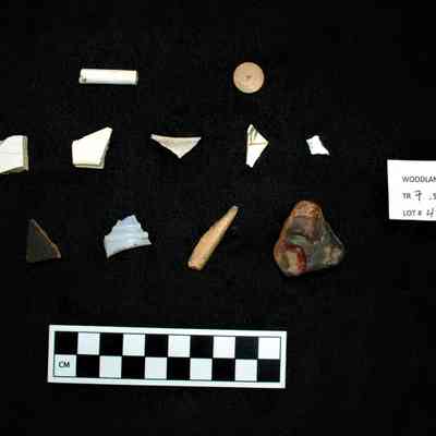 Collection of Artifacts