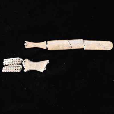 Fragments of toothbrushes.: Fragments of a brush handle against fragments of a brush head.