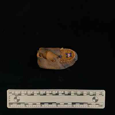 Oklahoma Cado Moccasin