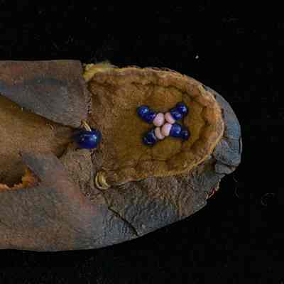 Detailed image of Oklahoma Cado Moccasin