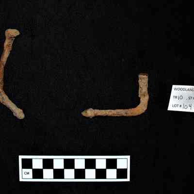 Ferrous Metal Items