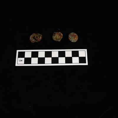 Ferrous Metal Buttons