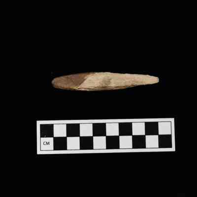Bone Handle