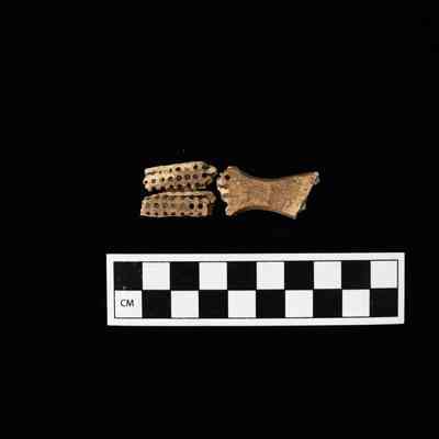 Head of Bone Toothbrush