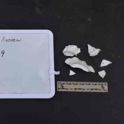Vessel 3.9 Porcelain Leaf Dish