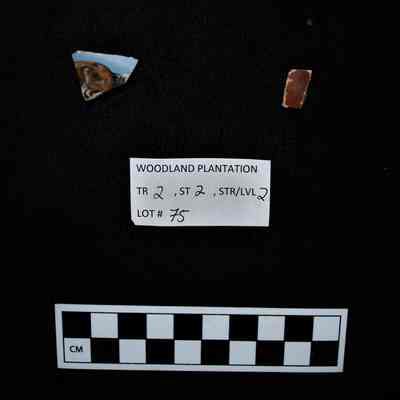 Ceramic Fragments