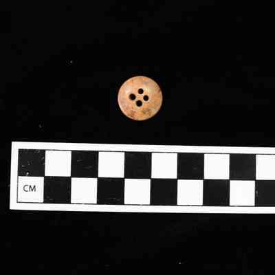Bone Button