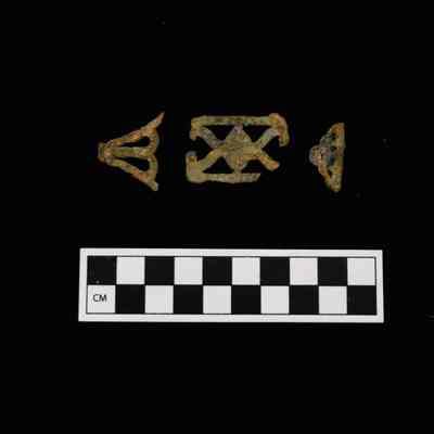 Cuprous Buckle