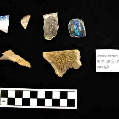 Collection of Artifacts