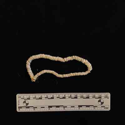 Trade Beads