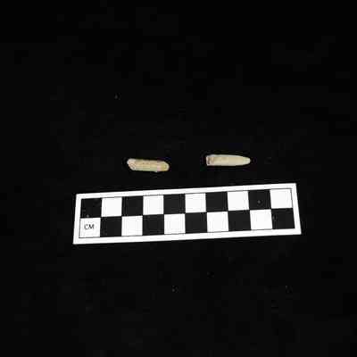 Slate Pencil Fragments