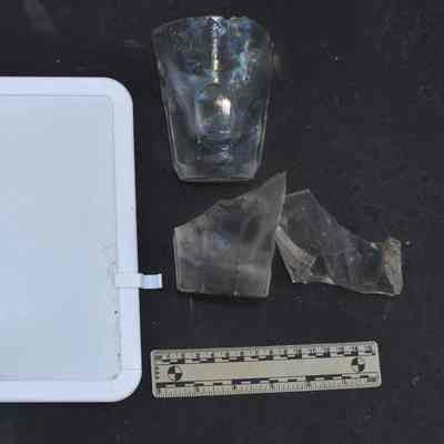 Glass 3.17 and 3.18 Colorless Paneled Tumblers