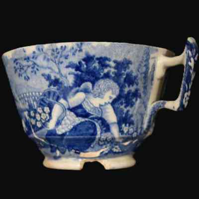 Cup