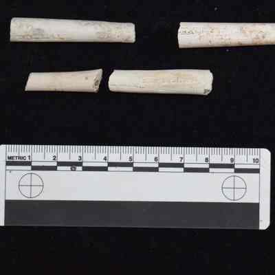 Clay Pipe Stems