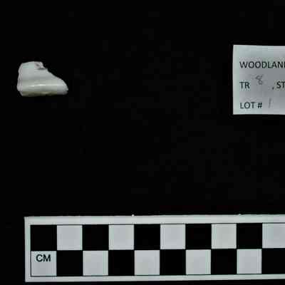 Ceramic Fragment