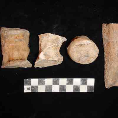 Molded clay pieces; many pieces include clear fingerprints.