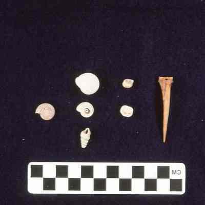 Treme Plantation Artifacts (Slides #2)