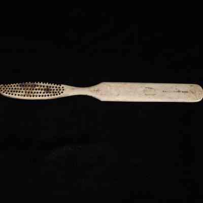 Bone Toothbrush