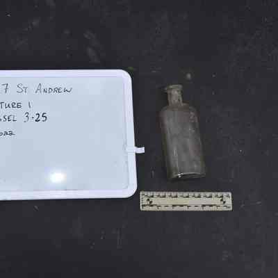 Glass 3.25 Colorless Ovoid Bottle