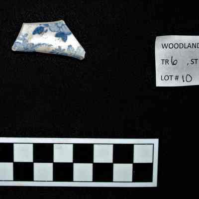 Ceramic Fragment