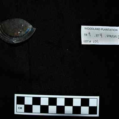 Glass Fragment