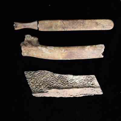 Bone toothbrush handle against bovine bones.: Fragments of a toothbrush against fragments of bovine bones.