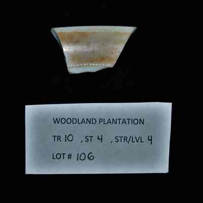 Ceramic Fragment