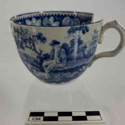 Cup