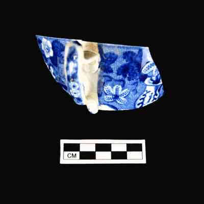 Cup