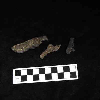 Shoe Leather Fragments