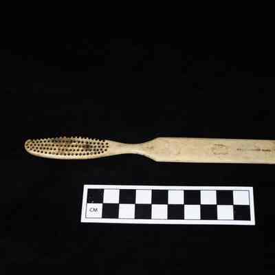 Toothbrush with scale