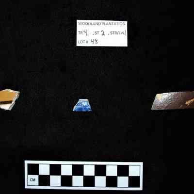 Ceramic Fragments