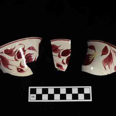 Teacup