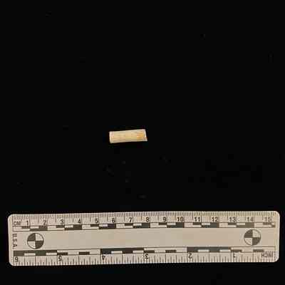 Pipe Stem