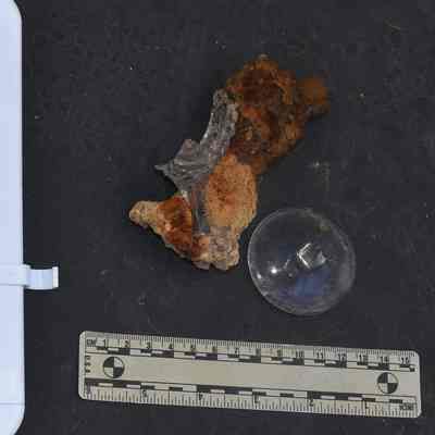 Glass 4.50 Colorless Stemware