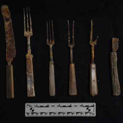 Metal and Bone-handled Cutlery