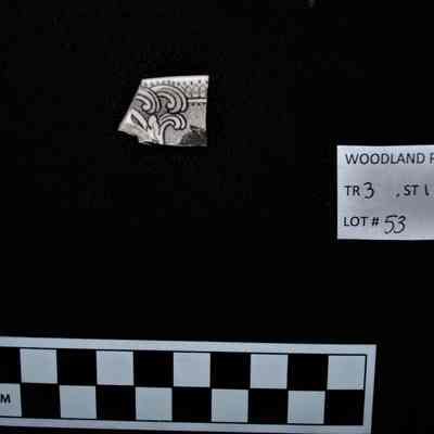 Ceramic Fragment