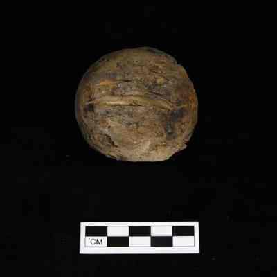 Wooden Ball