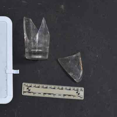 Glass 3.21 Colorless Tumbler