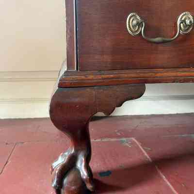 Detail of claw and ball foot